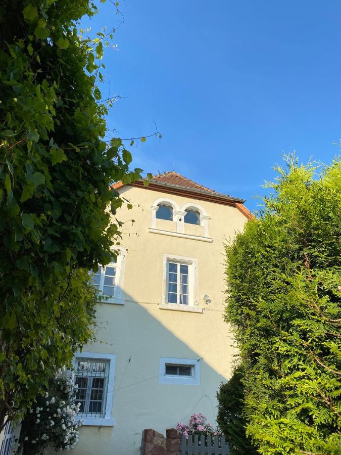 Schloss Hainfeld Eksteriør billede