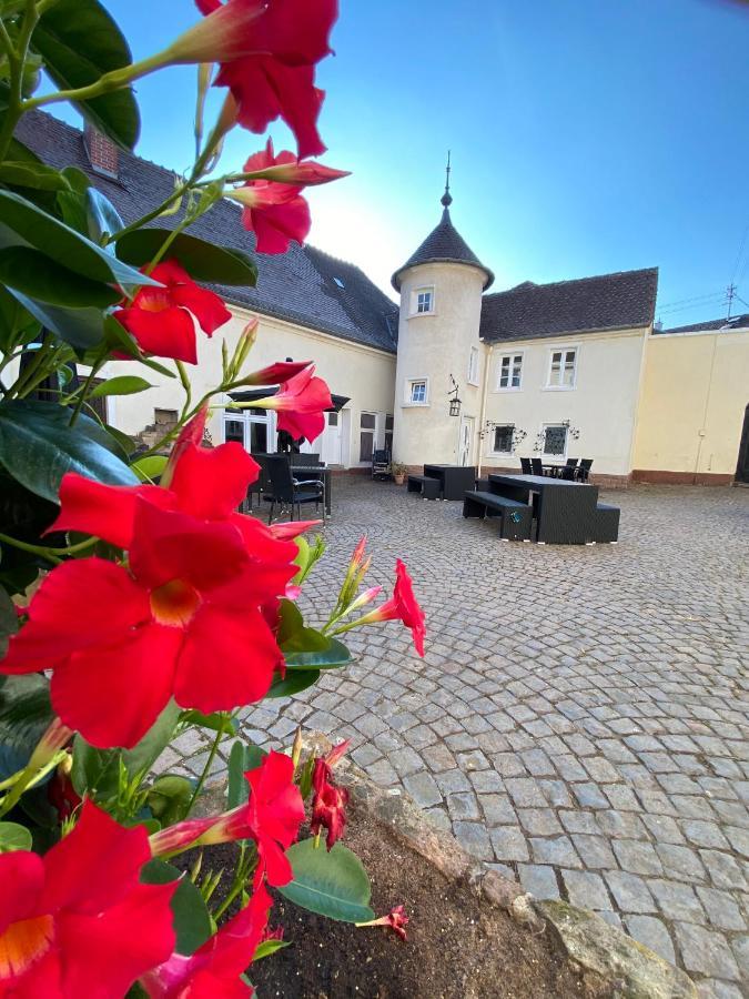 Schloss Hainfeld Eksteriør billede